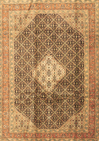 Medallion Brown Traditional Rug, tr1255brn