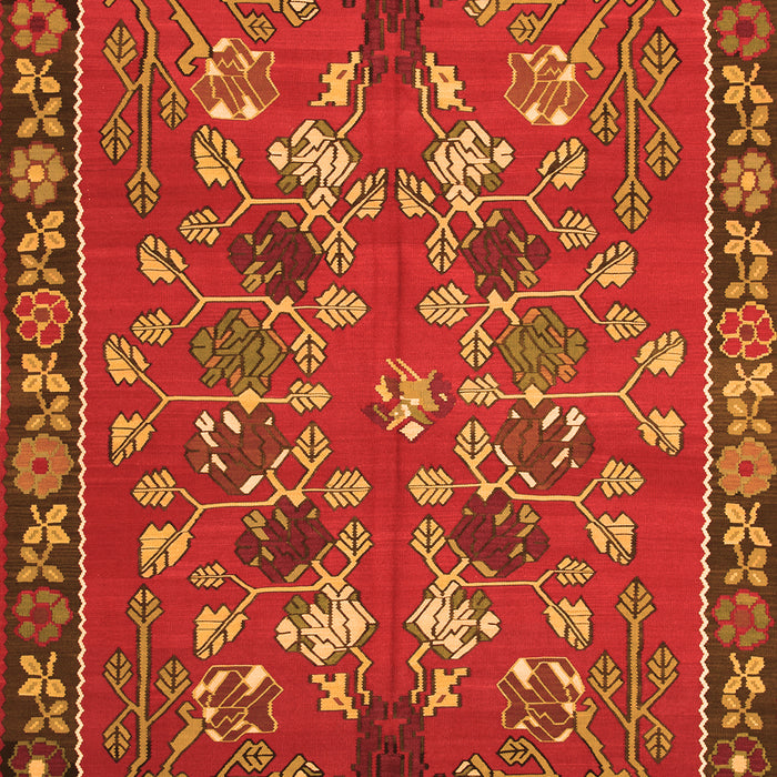 Serging Thickness of Machine Washable Animal Orange Traditional Area Rugs, wshtr125org