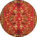 Square Animal Orange Traditional Rug, tr125org