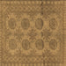 Square Persian Brown Traditional Rug, tr1262brn