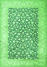 Persian Green Traditional Rug, tr1263grn