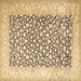 Square Persian Brown Traditional Rug, tr1263brn