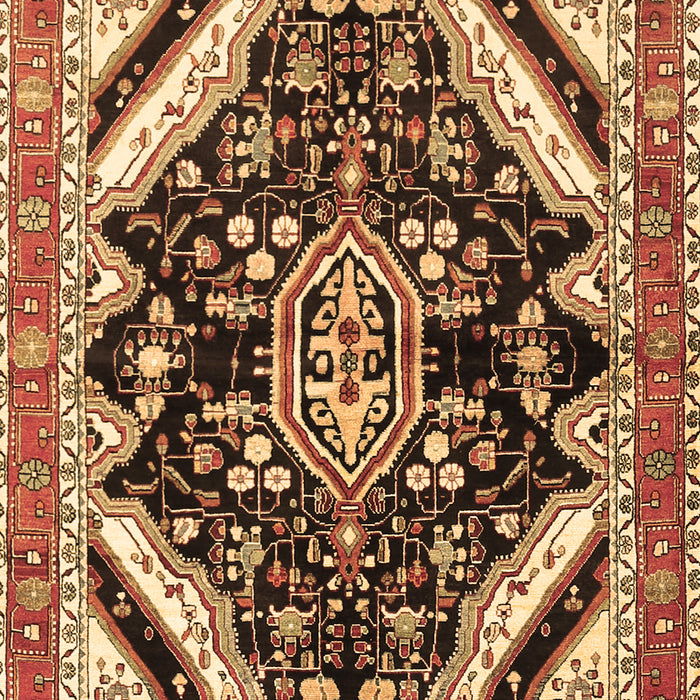 Machine Washable Persian Brown Traditional Rug, wshtr1266brn