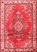 Medallion Red Traditional Area Rugs