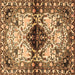 Square Machine Washable Persian Brown Traditional Rug, wshtr1276brn