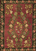 Machine Washable Persian Brown Traditional Rug, wshtr127brn