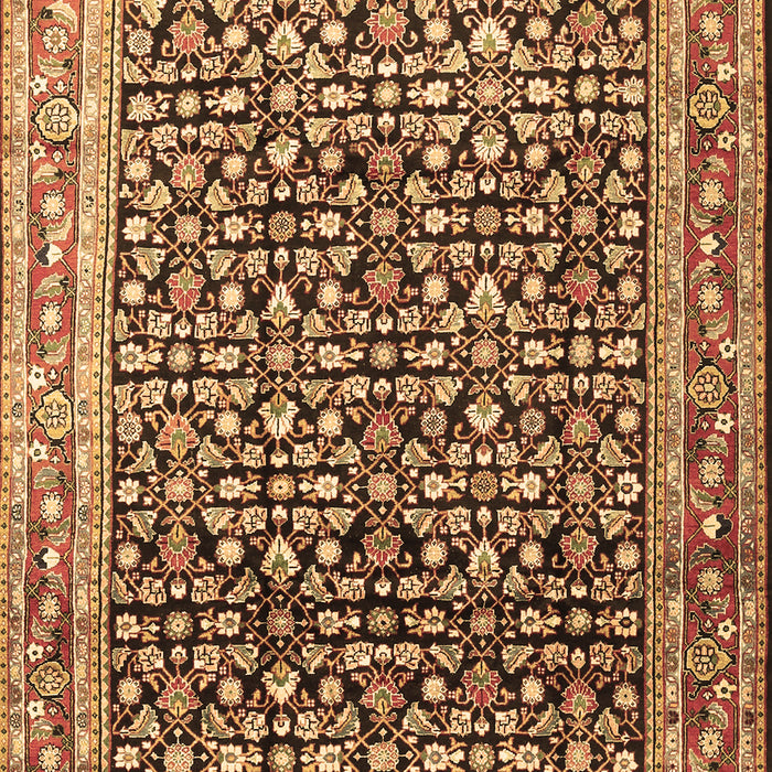 Machine Washable Persian Brown Traditional Rug, wshtr1286brn