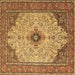 Square Persian Brown Traditional Rug, tr1287brn