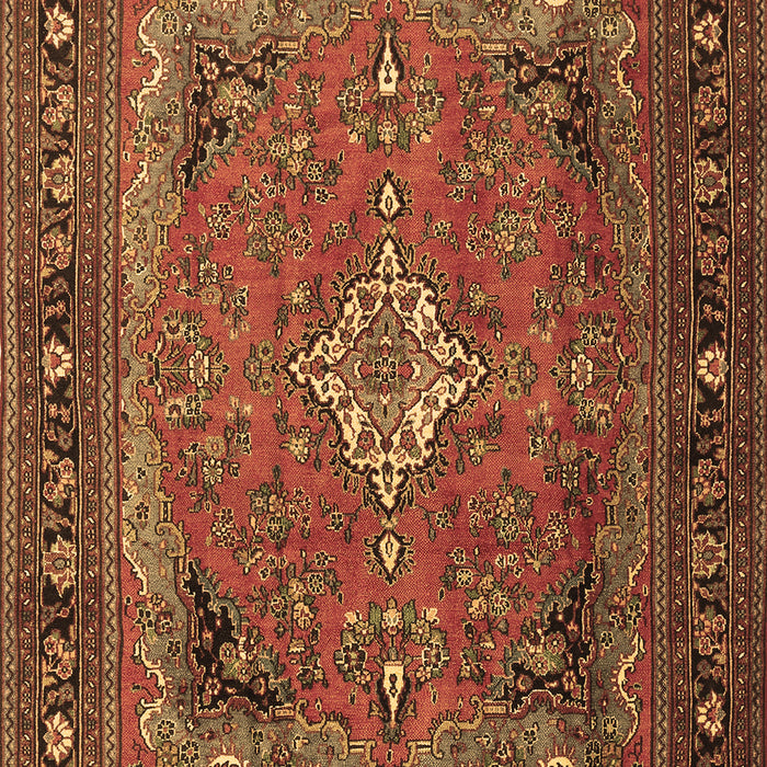 Machine Washable Persian Brown Traditional Rug, wshtr1288brn