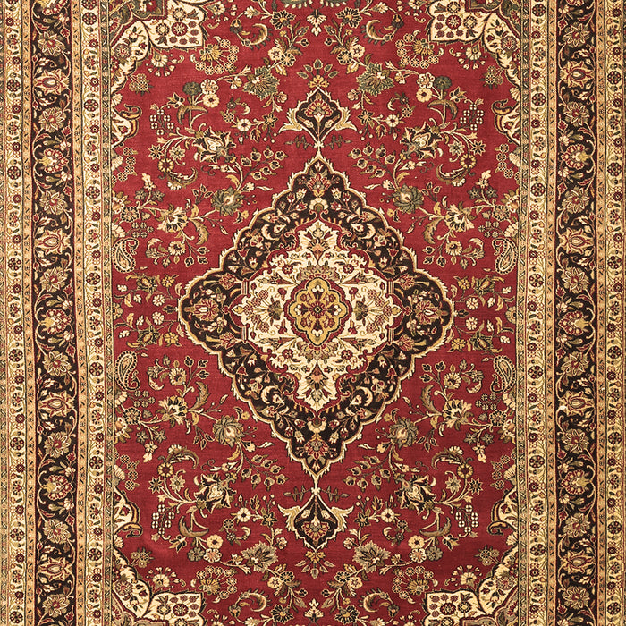 Medallion Brown Traditional Rug, tr1289brn