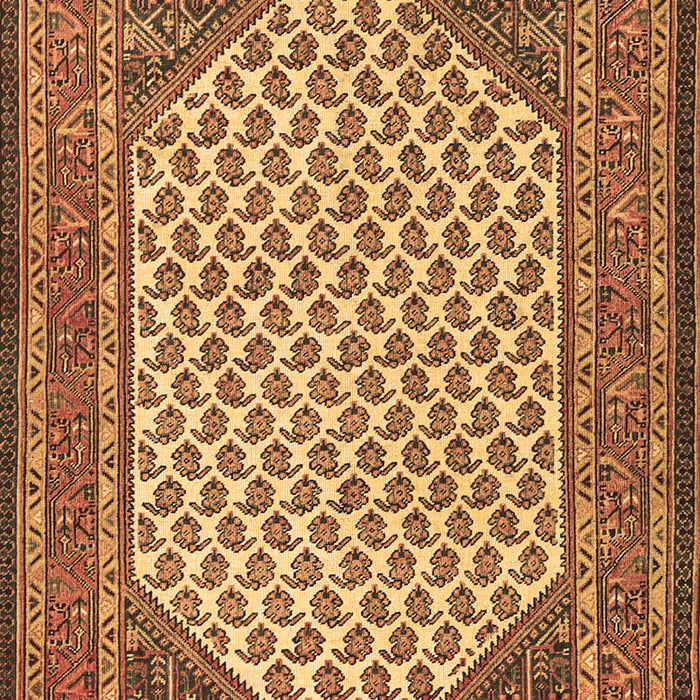 Machine Washable Persian Brown Traditional Rug, wshtr1290brn