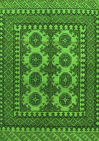 Southwestern Green Country Rug, tr1296grn