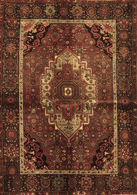 Medallion Brown Traditional Rug, tr129brn