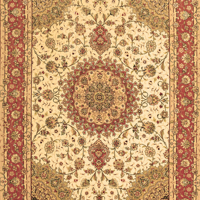 Medallion Brown Traditional Rug, tr12brn
