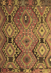 Southwestern Brown Country Rug, tr1305brn