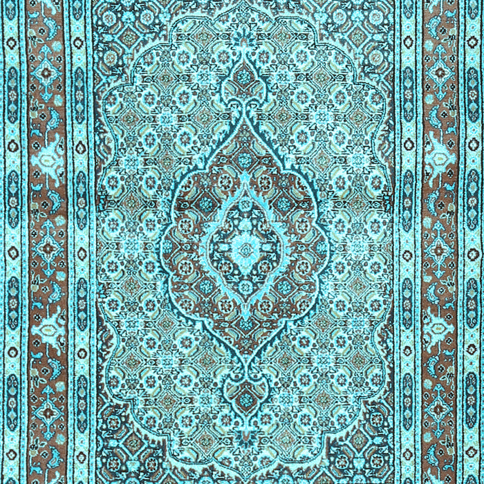 Medallion Light Blue Traditional Rug, tr1307lblu