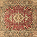 Square Machine Washable Medallion Brown Traditional Rug, wshtr1311brn