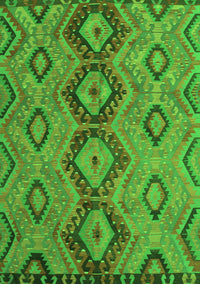 Southwestern Green Country Rug, tr1319grn