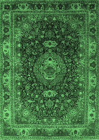 Medallion Emerald Green Traditional Rug, tr131emgrn