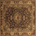 Square Machine Washable Medallion Brown Traditional Rug, wshtr131brn