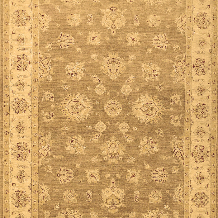 Persian Brown Traditional Rug, tr1328brn
