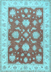 Oriental Light Blue Traditional Rug, tr1329lblu