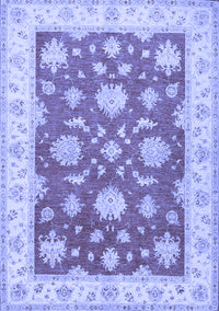 Oriental Blue Traditional Rug, tr1329blu