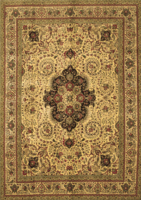 Medallion Brown Traditional Rug, tr132brn