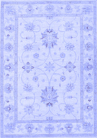 Oriental Blue Traditional Rug, tr1330blu