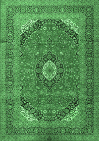 Medallion Emerald Green Traditional Rug, tr1333emgrn