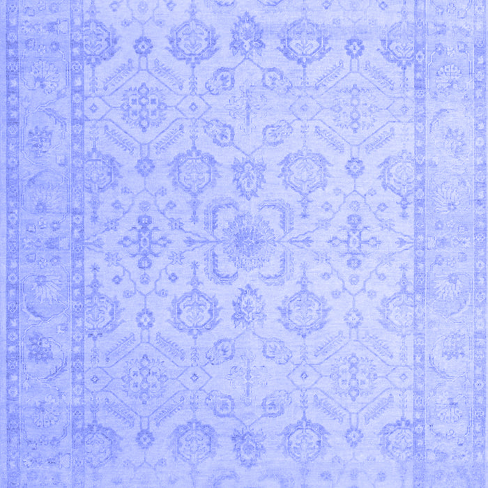 Oriental Blue Traditional Rug, tr1335blu