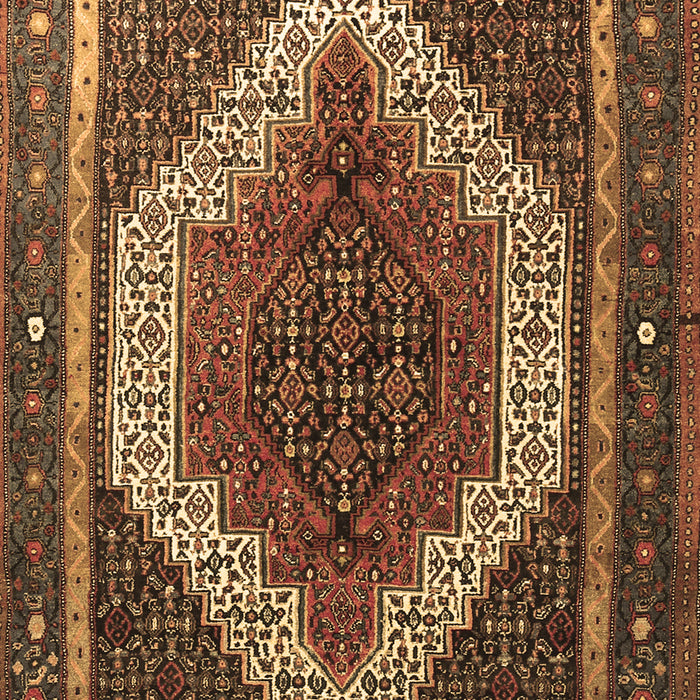 Machine Washable Persian Brown Traditional Rug, wshtr1340brn