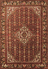 Persian Brown Traditional Rug, tr1342brn