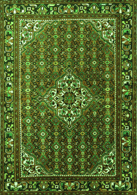 Persian Green Traditional Rug, tr1342grn