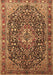 Persian Brown Traditional Rug, tr1344brn