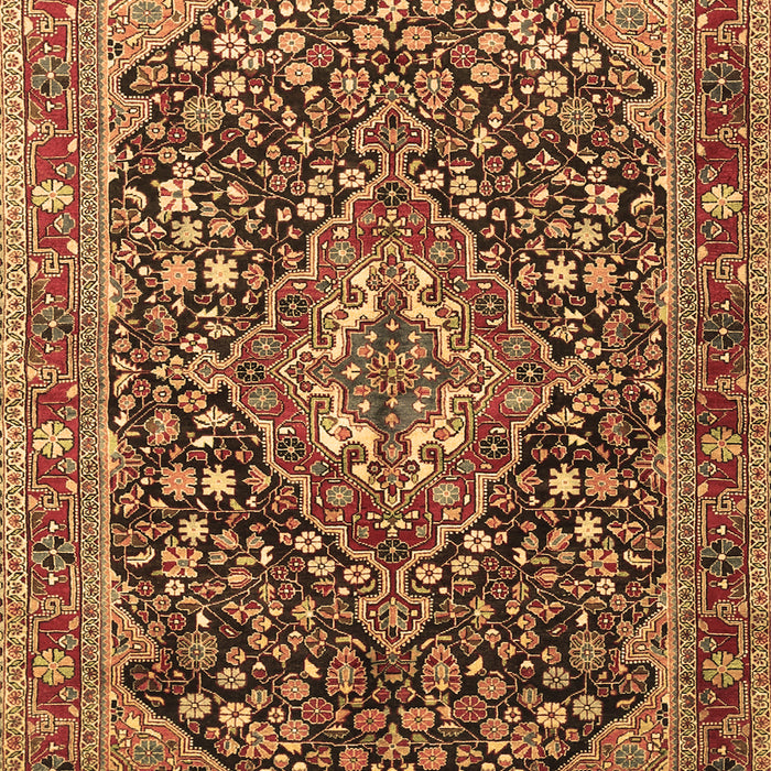 Persian Brown Traditional Rug, tr1344brn