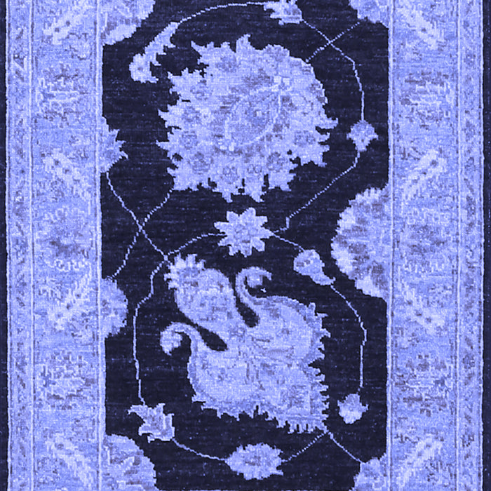 Machine Washable Oriental Blue Traditional Rug, wshtr1346blu