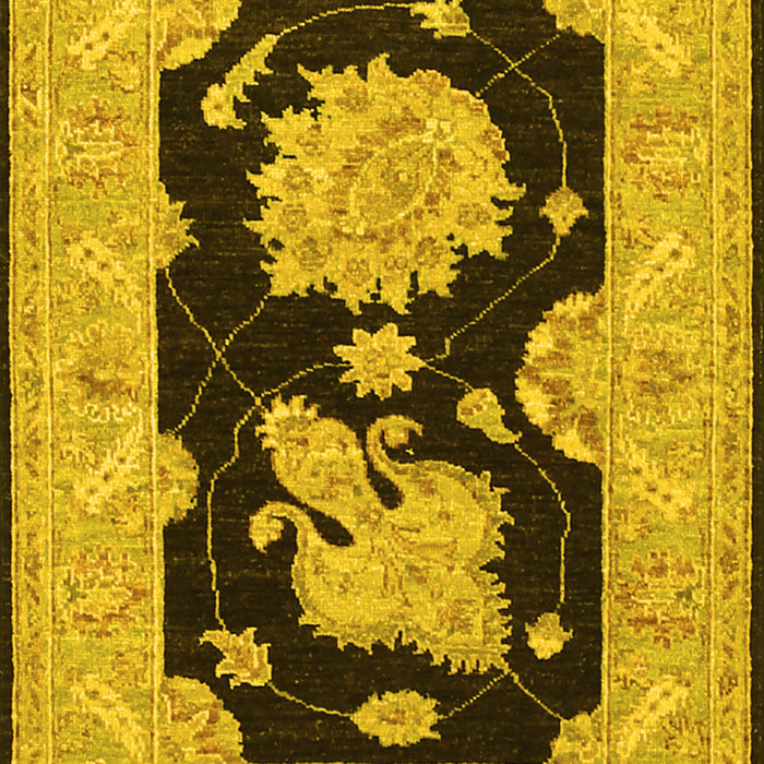 Oriental Yellow Traditional Rug, tr1346yw