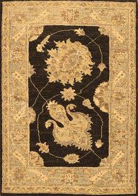 Oriental Brown Traditional Rug, tr1346brn
