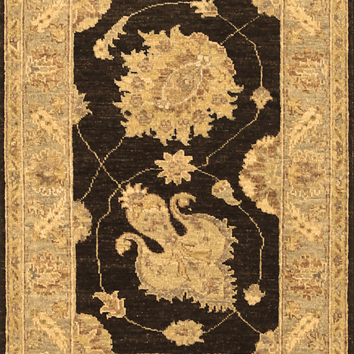 Oriental Brown Traditional Rug, tr1346brn