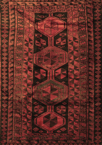 Persian Brown Traditional Rug, tr1349brn