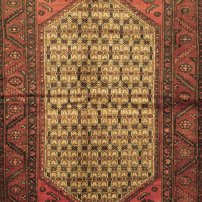 Machine Washable Persian Brown Traditional Rug, wshtr134brn