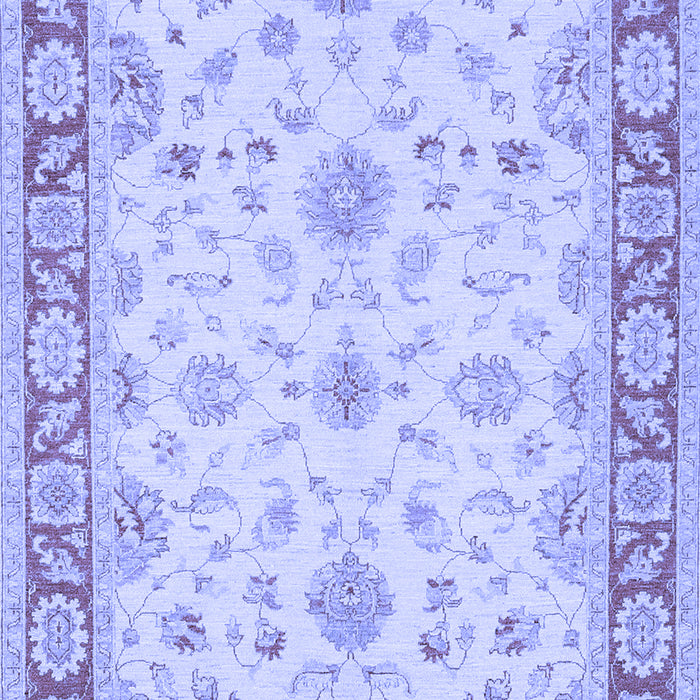 Oriental Blue Traditional Rug, tr1351blu