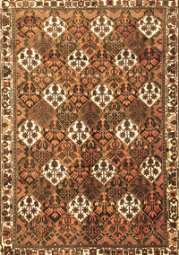 Persian Brown Traditional Rug, tr1353brn