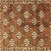 Square Machine Washable Persian Brown Traditional Rug, wshtr1353brn