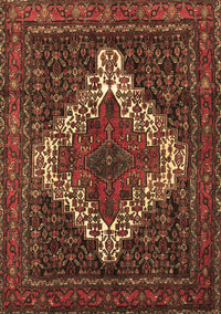 Persian Brown Traditional Rug, tr1356brn