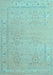 Persian Light Blue Traditional Rug, tr1357lblu