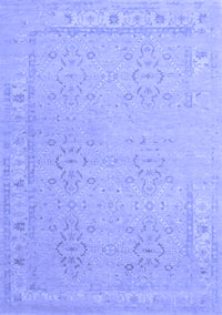 Persian Blue Traditional Rug, tr1357blu