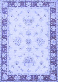 Oriental Blue Traditional Rug, tr1362blu