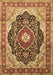 Medallion Brown Traditional Rug, tr136brn